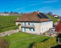 Coup de coeur! Spacieuse villa avec jardin et vue dégagée